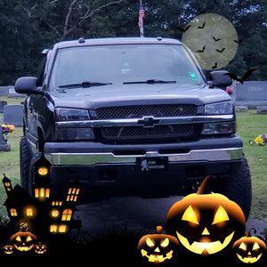 Meet your Posher, Ronnie